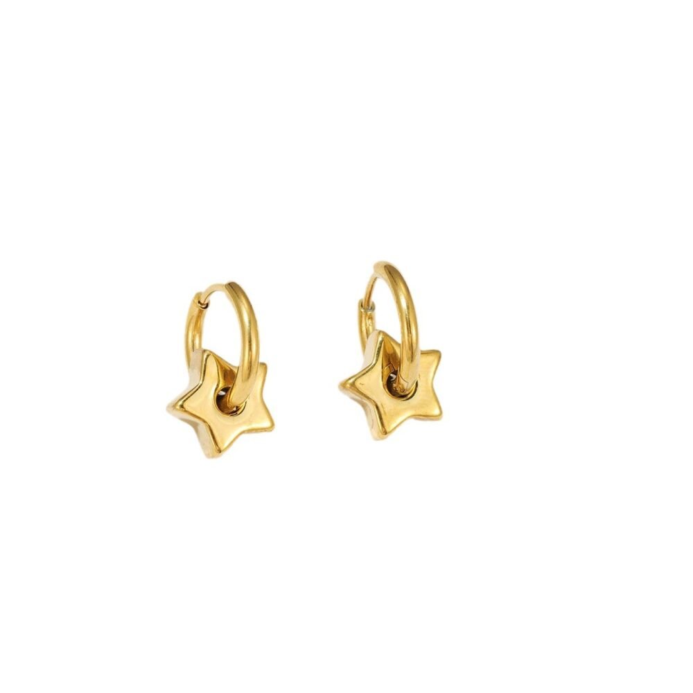 Star-Shaped Earrings - Image 5