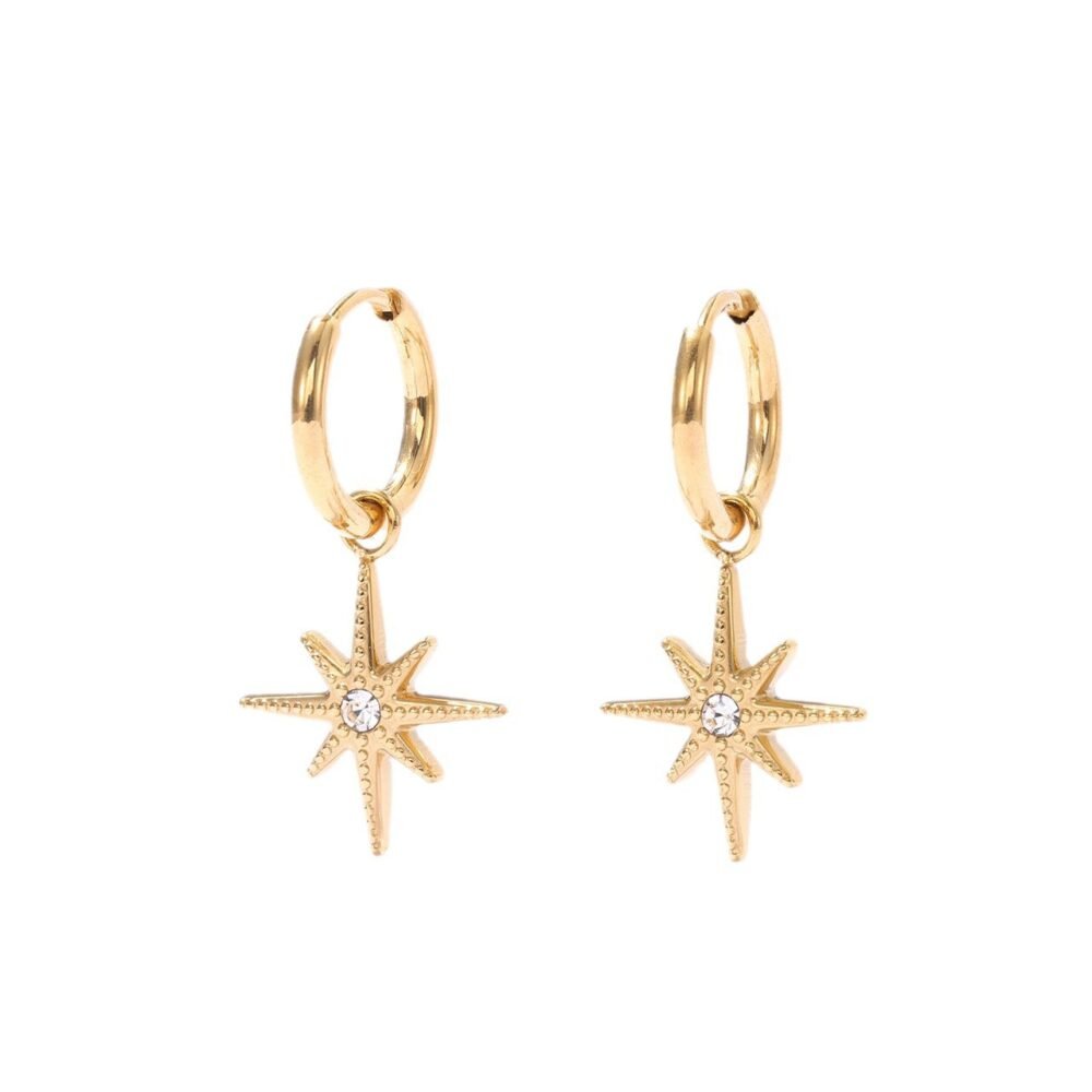 Star Twinkling Star Geometric Type Earrings - Image 5